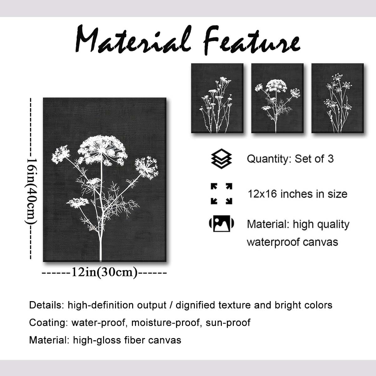 Flower Plant Black and White Botanical
