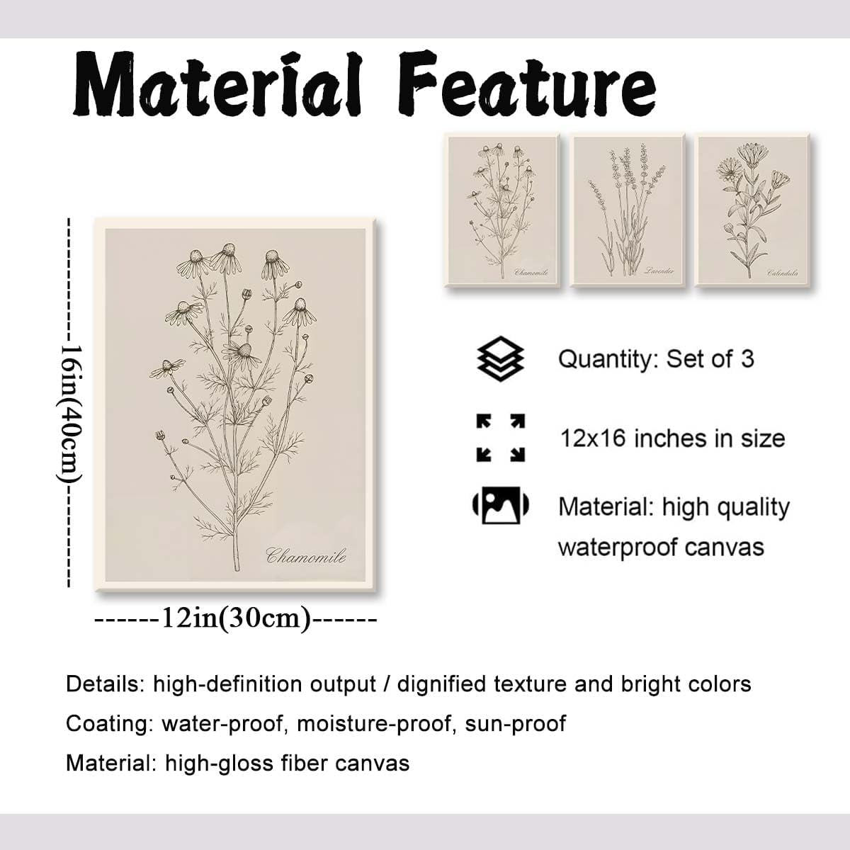 Botanical Vintage Wall Art