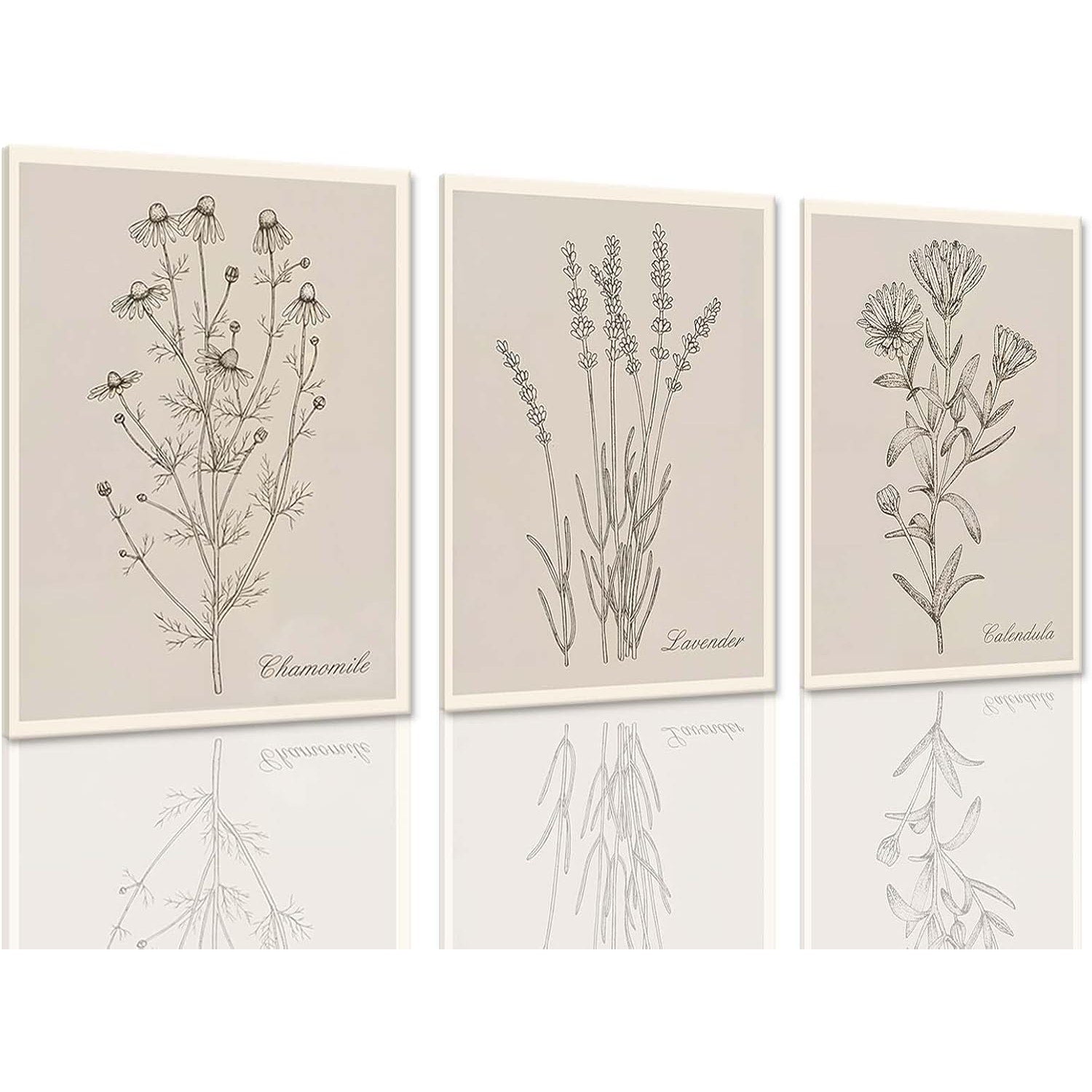 Botanical Vintage Wall Art