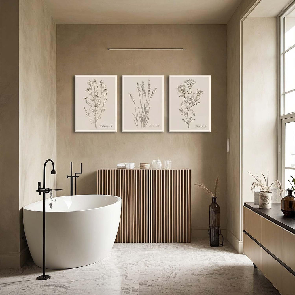 Botanical Vintage Wall Art